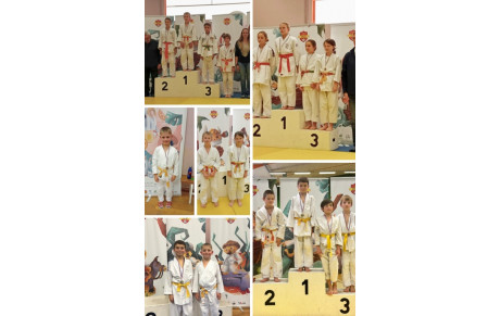 🥋Circuit départemental poussins/benjamins🥋